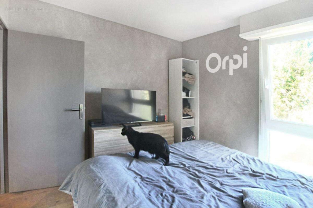 Image de bien 5