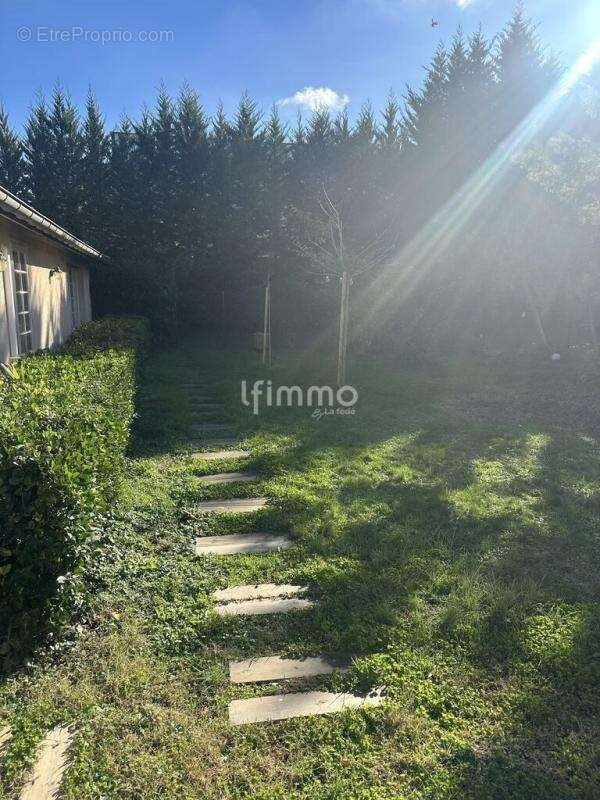 Image de bien 5