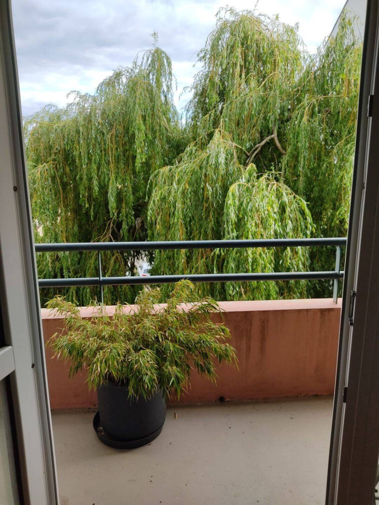 Image de bien 4