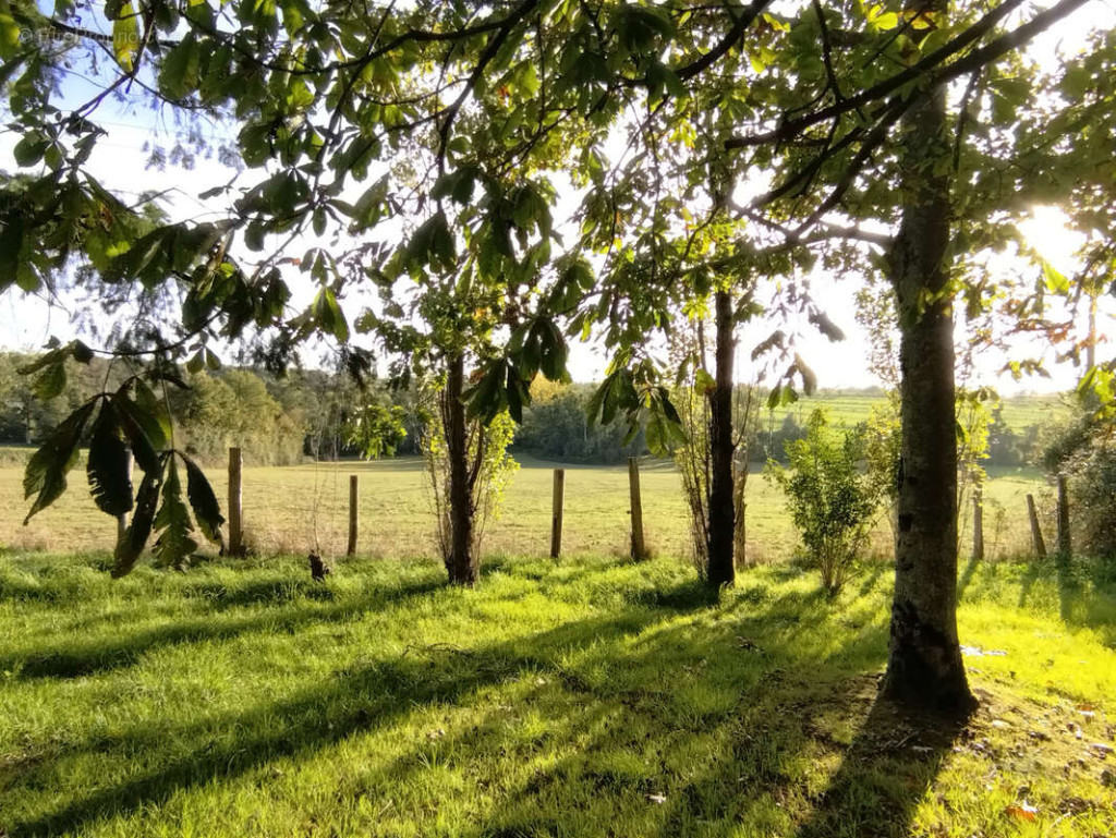 Image de bien 2